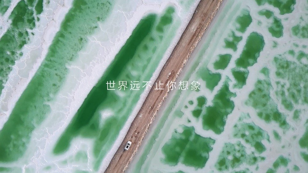 美丽中国我是行动者